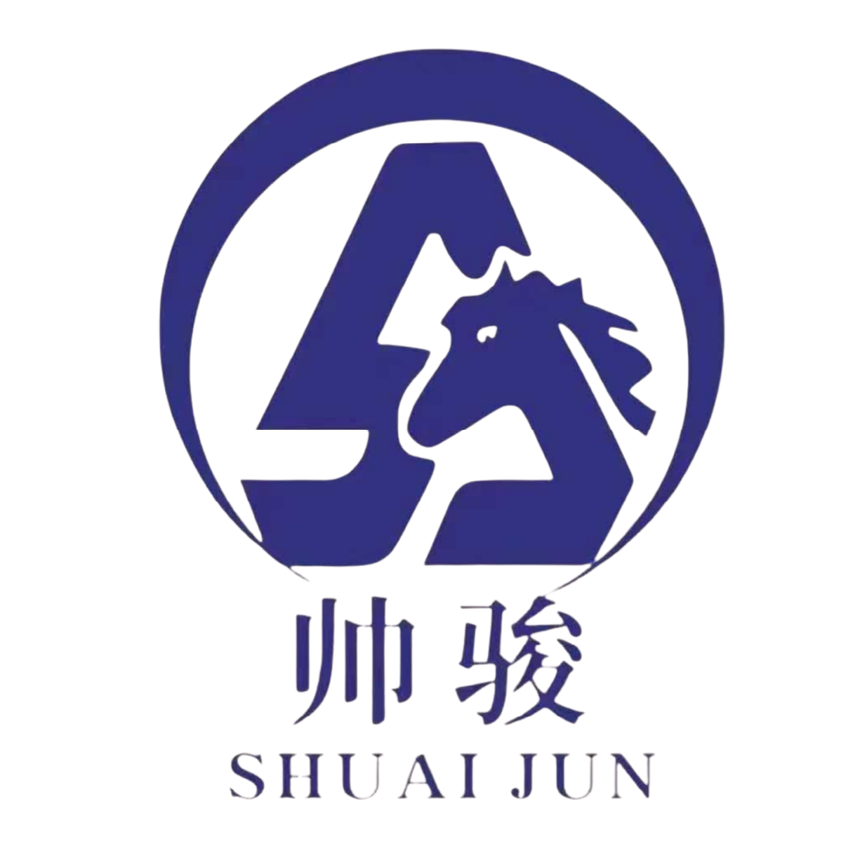 06_Logo_Dingyun Automobile Decoration Parts Factory